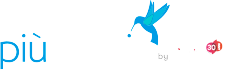 Piumedia